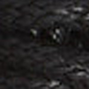 Pico - Image 4