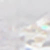 Beauceron - Image 2