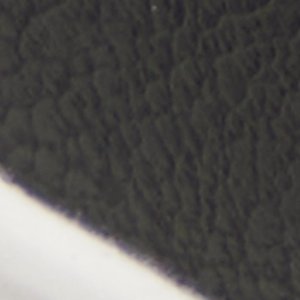 Courtline - Image 8