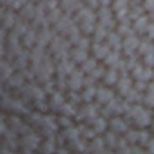 Lagoon - Image 8