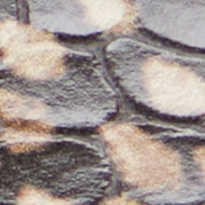 Magnus - Image 8
