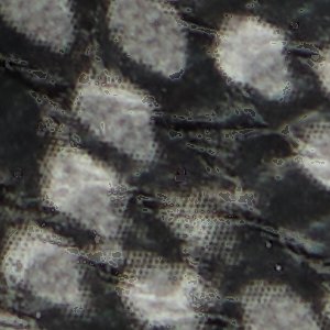 Magnus - Image 8