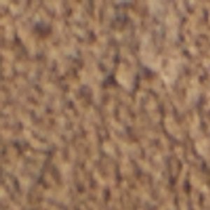 Faro - Image 9