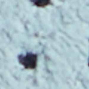 Journey - Image 9