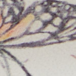 Alamassi - Image 7