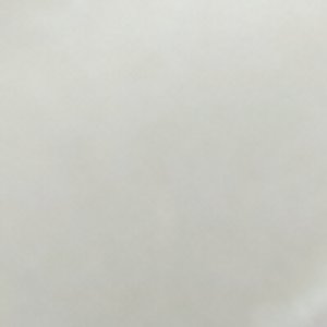 Babriclya - Image 3