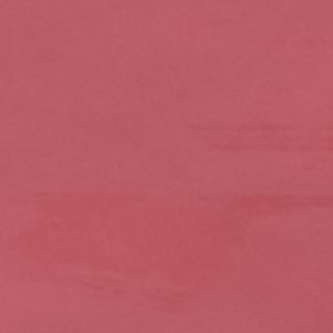Tinsletta - Image 8