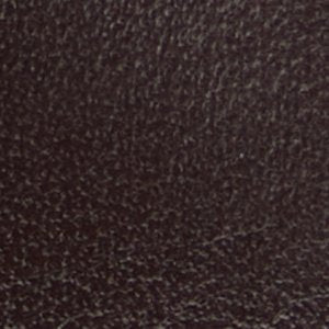 Amur - Image 9