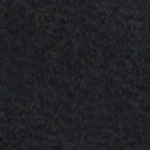 Walters - Image 8