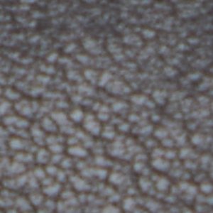 Walters - Image 8