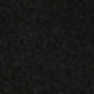 Seashella - Image 8