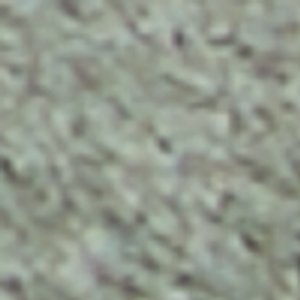 Grecio - Image 10