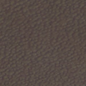Beachwalk - Image 7