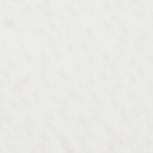 Oceana - Image 8