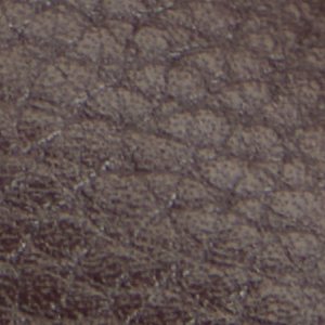 Horton-in - Image 9