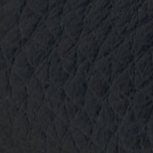 Cedric - Image 9