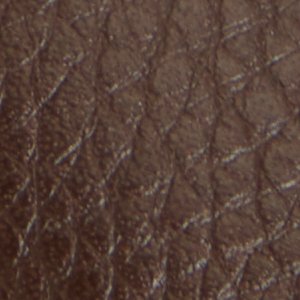 Montie - Image 10
