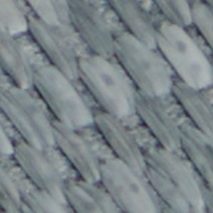 Wavysally - Image 8