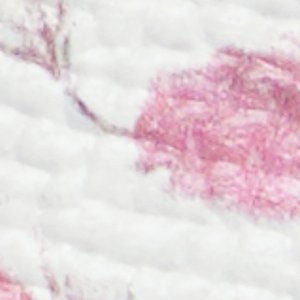 Darlina - Image 7