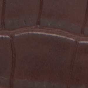 Aellaax - Image 5