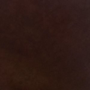 Teyrra - Image 3