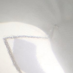 Koby - Image 3