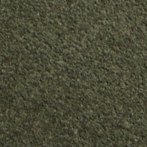 Cypress - Image 9