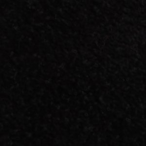 Cypress - Image 9