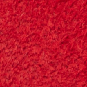 Roscoe - Image 9