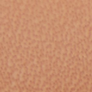 Anitabrilden - Image 7