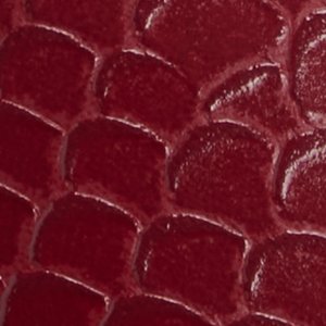Aleena - Image 7