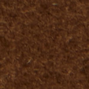 Torro - Image 9