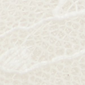 Azaro - Image 7