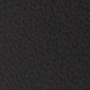 Helana - Image 7