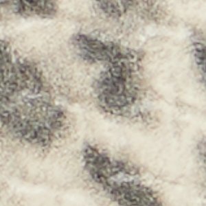 Lannah - Image 7