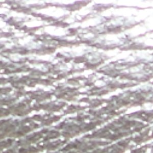 Maxie - Image 7