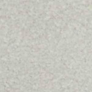 Xavier - Image 8