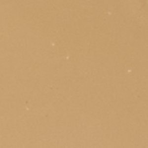 Jackiebagg - Image 5