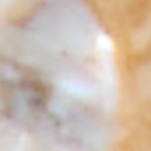 Lionade - Image 2