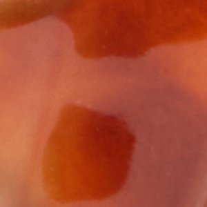 Ezraa - Image 3