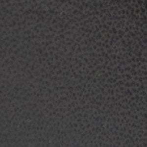 Lupo - Image 8