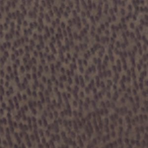 Leandra - Image 7