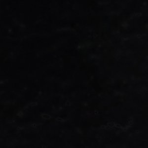 Elenaria - Image 7