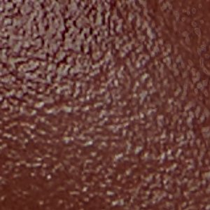 Feronia - Image 7