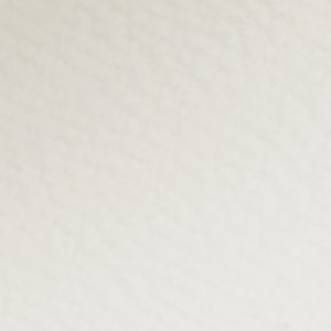 Leesia - Image 7