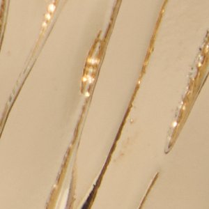 Dazira - Image 3
