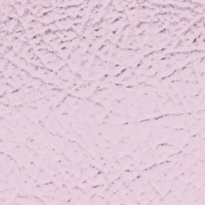 Aaraliaa - Image 4