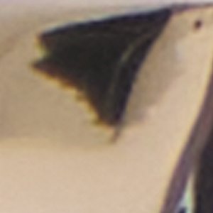 Dimitri - Image 3