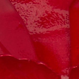 Paradisia - Image 3