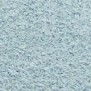 Whirl - Image 8